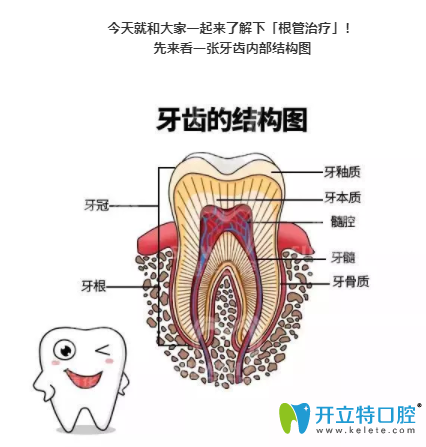 根管治療牙神經(jīng)抽出來的步驟過程圖及需要多長時間,很實用